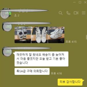 루이비통 스니커즈