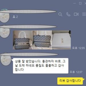 디올 오블리크 미디움 북토트백