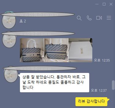 디올 오블리크 미디움 북토트백