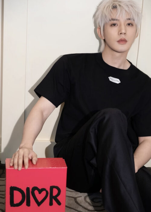 디올 로고패치 반팔 라운드 티셔츠 (2 color)  레플리카 미러급 SA급 S급 고퀄리티 하이엔드 최상급 의류 [남성여성공용] - thebest 13