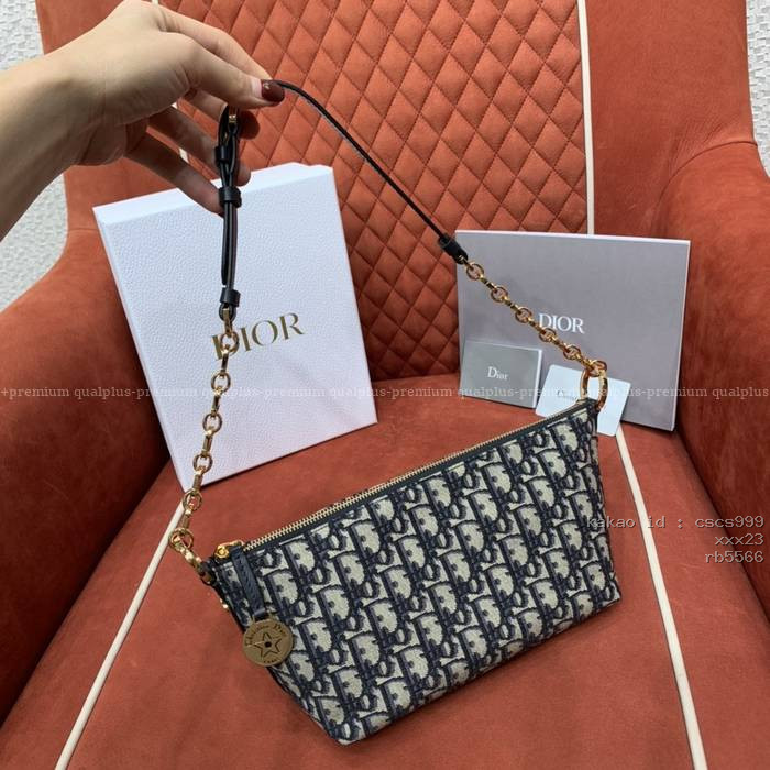 디올 스타 체인 호보 숄더백 가방